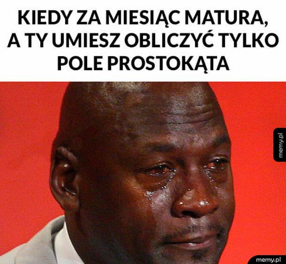 Matura 2019. Memy 