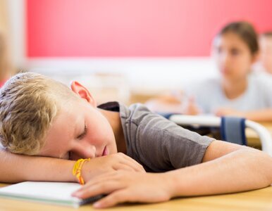 Miniatura: Uczniowie „przycinają komara” na lekcjach....