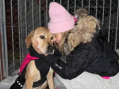 Miniatura: Doda ujawnia bagno w&nbsp;schronisku...