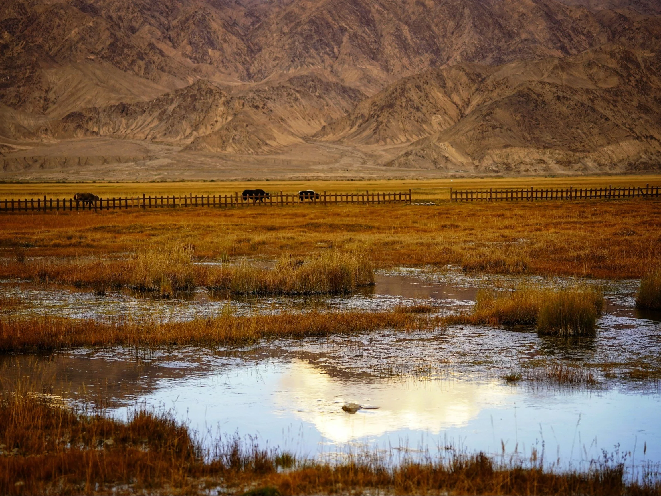 Prawda czy fałsz? 10 trudnych pytań z różnych dziedzin