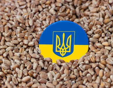 Miniatura: Na co liczy Ukraina? Limity eksportowe do...