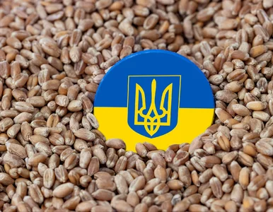 Miniatura: Na co liczy Ukraina? Limity eksportowe do...
