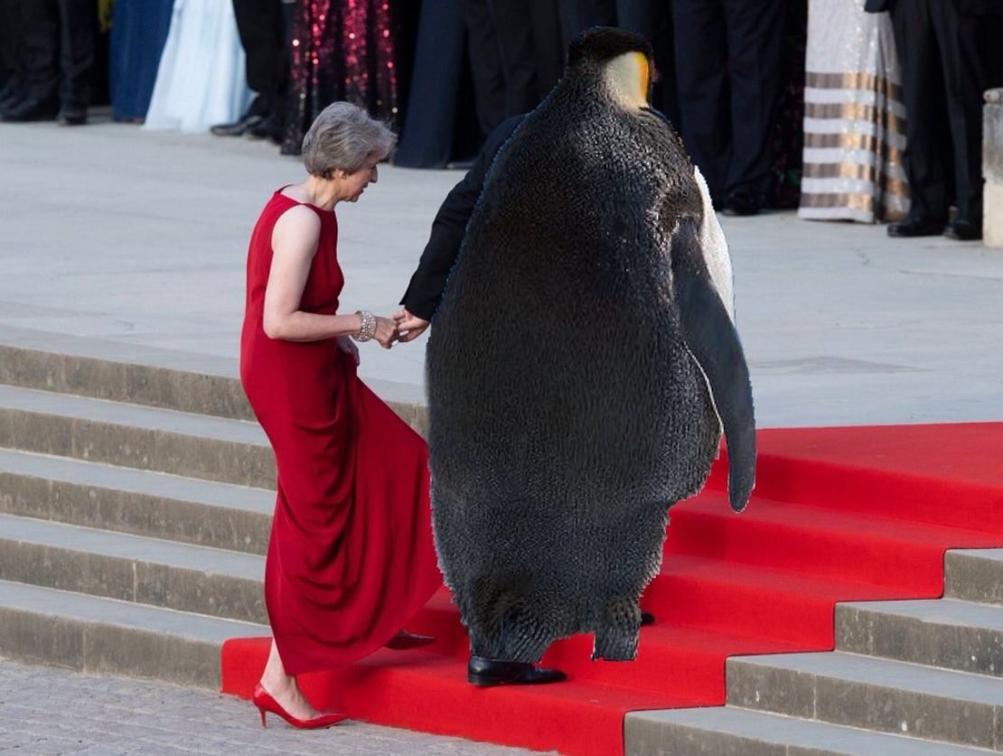 Pingwin zamiast Trumpa podczas spotkania z Theresą May 