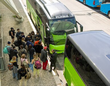 Miniatura: Podróże za mniej niż 20 złotych. Gigant...