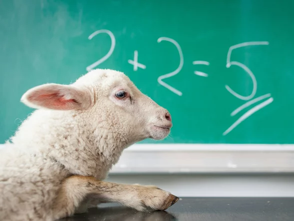 Miniatura: Kartkówka z matematyki. Odpowiedź na te...