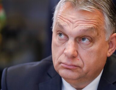 Miniatura: Orban zbędny na szczycie NATO. Węgierski...