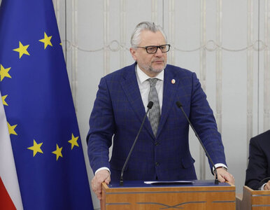 Miniatura: Internet bezlitosny dla rządu. Afera Lenza...