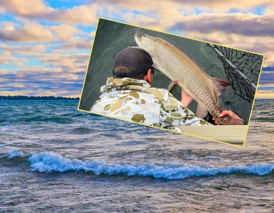 Miniatura: Ten wędkarski rekord może przechodzić z...