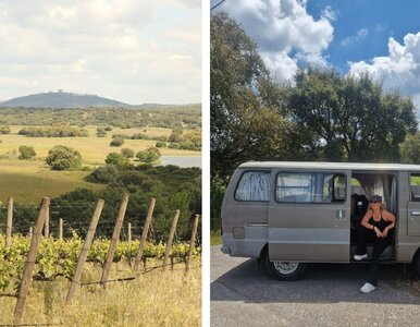 Miniatura: Oaza zapomniana przez przewodniki. Ten...