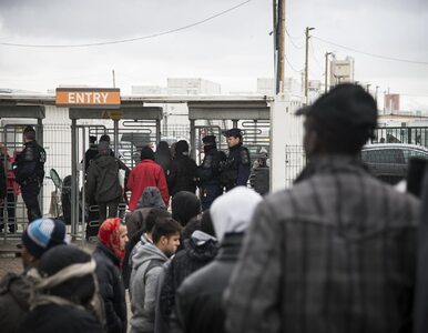 Miniatura: Migranci z obozu w Calais zaatakowali...