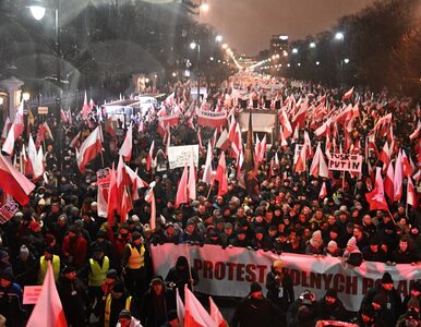 Miniatura: „Protest wolnych Polaków” okiem...