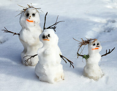 Miniatura: „Napis godzący w PiS” na śniegowym...