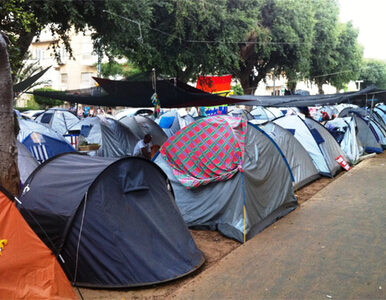 Miniatura: Władza usunęła namioty protestujących...