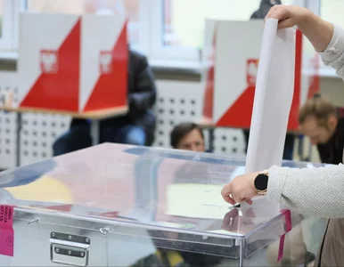 Miniatura: Doba na nogach, tysiące kart i błędy...