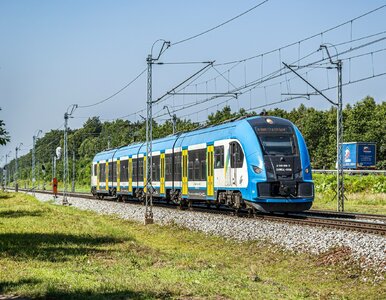 Miniatura: Afera w pociągu regionalnym. Kupił bilet...