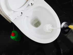 Miniatura: Hotelowe sprzątaczki robią to od lat....