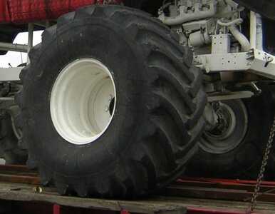 Miniatura: Monster truck wjechał w tłum. Dziecko...