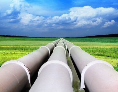 Miniatura: Rosja wierzy w szybkie porozumienie gazowe...