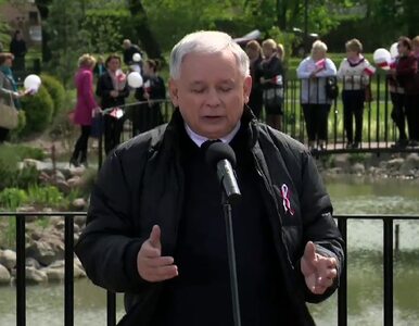 Miniatura: Kaczyński: Ofensywa energetyczna Tuska to...