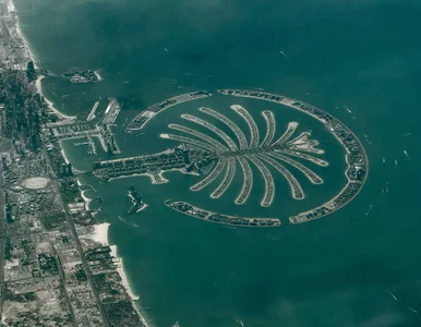 Miniatura: Uciekli do Dubaju, dla ich obserwatorów to...