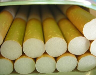 Miniatura: Szara strefa niszczy branżę tytoniową w...