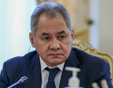 Miniatura: Minister obrony Rosji o postępach na...