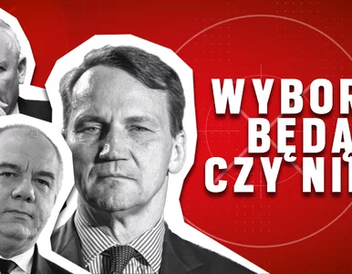 Miniatura: Wybory. Będą czy nie?