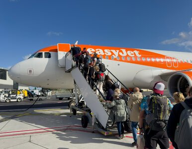 Miniatura: Turyści polecieli, bagaże zostały. Podróż...