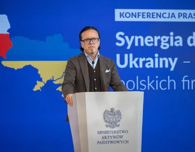 Miniatura: Польща візьме участь у відбудові України