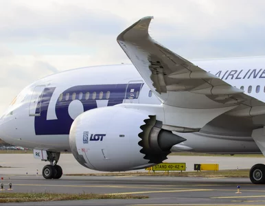 Miniatura: Dreamliner poleci na trasie krajowej....