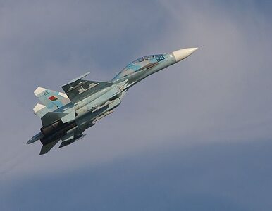 Miniatura: Odnaleziono czarną skrzynkę z Su-27