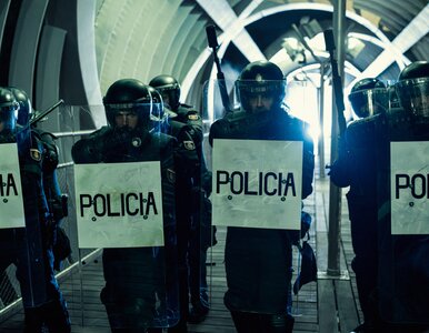 Miniatura: Zatrzęsienie nowości na Netflix. W tym...