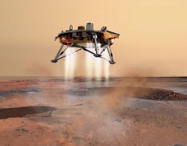 Miniatura: Próbnik Phoenix wylądował na Marsie