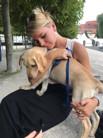 Pies Korey i Samantha Stocking 