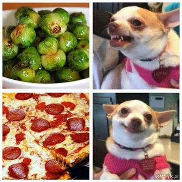 Memy z pizzą w roli głównej 