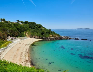 Miniatura: Zmiany na europejskich wyspach. Od 23...