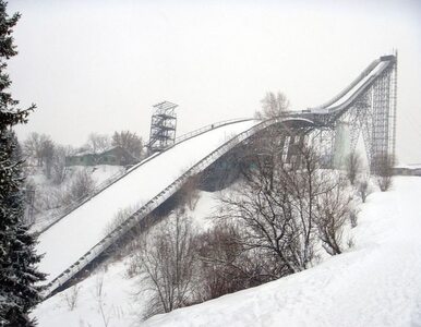 Miniatura: Skoki w Oberstdorfie. Tylko Biegun...