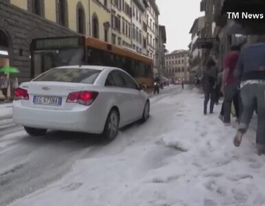 Miniatura: Fatalna pogoda paraliżuje Włochy