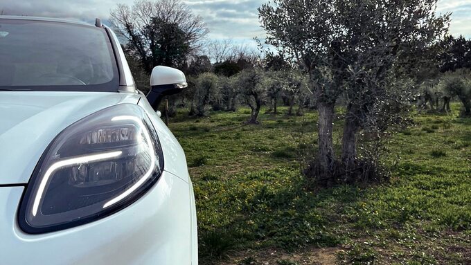 Ford eksperymentuje z materiałami z drzew oliwnych