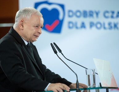 Miniatura: Kaczyński o Kidawie-Błońskiej: Przy całym...