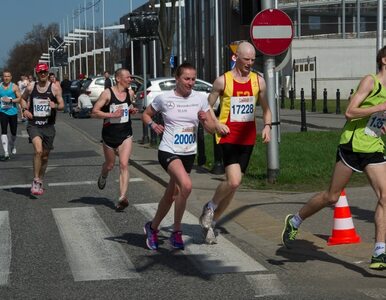 Miniatura: Orlen Warsaw Marathon: Kowalczyk szybsza...