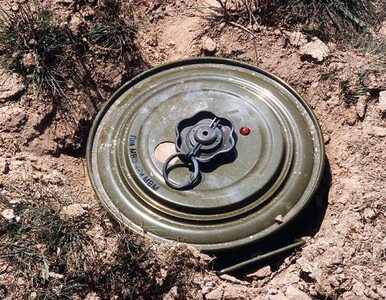 Miniatura: Afganistan: eksplodowała mina. 11 dzieci...