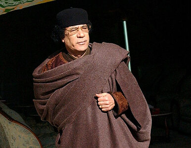 Miniatura: Syn Kaddafiego przed sądem. "Pokazowy...