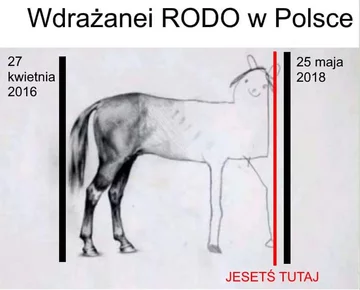 Mem z RODO 