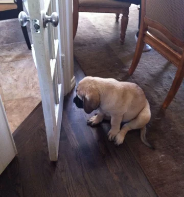 No jak zamknięte, to nie wyjdziesz. 