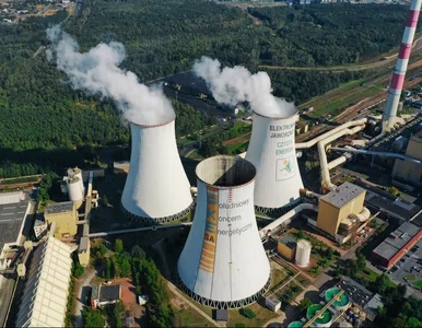 Miniatura: Tauron nie ma ostatnio szczęścia. I to nie...