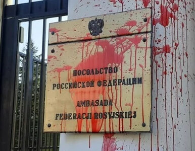 Miniatura: Incydent przed ambasadą Rosji w Warszawie....