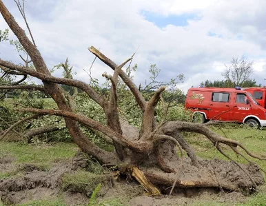 Miniatura: Strażacy sprzątają po nawałnicach