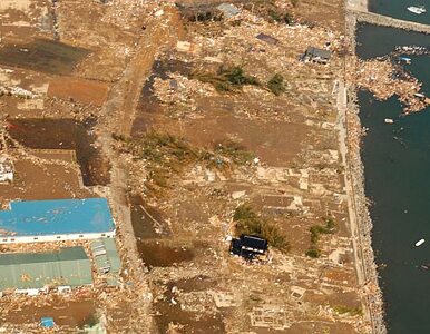 Miniatura: Japonia: woda z uszkodzonej elektrowni...