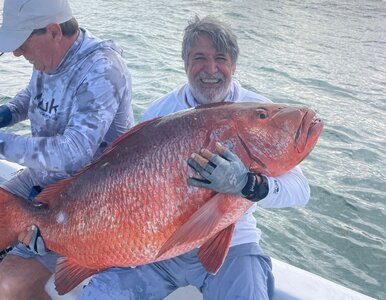 Miniatura: 6-letni rekord przechodzi do historii....